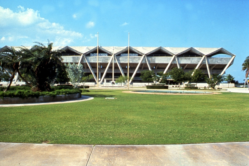 Grass Area View